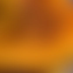 MACARONI - PERSIAN STYLE SPAGHETTI