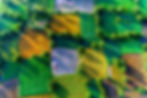 AdobeStock_327258867_edited_edited.jpg