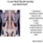 Back muscle & back pain