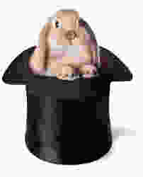 light brown bunny sitting in black top hat
