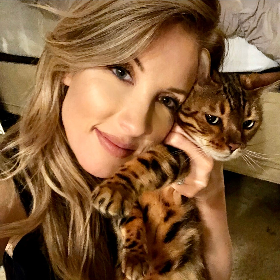 Meet our Bengal, Duchess!