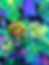 Thumbnail: Candy Cactus New Orleans