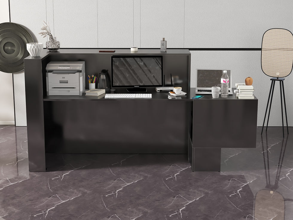 Miniatura: Rezeptionstheke R224 270x90cm Art_R22402