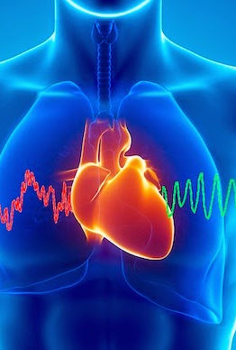 Your Wholistic Health & Wellness

Welcome to the Healthy Lifestyle! Our mission is to empower you to make lifelong decisions that lead to optimal well-being. Whether you’re seeking vibrant health, increased energy, or a better quality of life, we’re here to guide you on your journey.

What Is Wholistic Health?

Wholistic health is an approach that considers the interconnectedness of various aspects of our lives. It recognizes that true well-being encompasses more than just physical health. Here are the key dimensions we emphasize:

Physical Health: Nourish your body with organic fruits, vegetables, and whole foods. Explore the benefits of alkaline nutrition and natural spring water.

Mental & Emotional Wellness: Cultivate mindfulness, manage stress, and prioritize self-care. Discover the power of fusions, tinctures, and tonics to support your emotional balance.

Social Connections: Connect with others, build meaningful relationships, and create a supportive community. Social well-being is essential for overall health.

Intellectual Stimulation: Engage your mind through learning, creativity, and curiosity. Lifelong learning contributes to mental vitality.

Spiritual Fulfillment: Explore practices that resonate with your beliefs—whether it’s meditation, nature, or connecting with your inner self.

The Alkaline Nutritional Diet

Our focus on alkaline nutrition encourages you to consume foods that promote balance in your body’s pH levels. Here’s what it entails:

Organic Fruits and Vegetables: These nutrient-rich foods support overall health and provide essential vitamins and minerals.

Natural Spring Water: Hydrate with pure, mineral-rich spring water. It’s not just about quenching thirst; it’s about nourishing your cells.

Explore Our Resources

Bio-Individualized Programs: Tailored to your unique needs, our programs help you listen to your body’s intuitive messages and choose foods that align with your well-being.

Delicious Meals: Check out our FREE recipes for wholesome, flavorful dishes that prove healthy eating can be enjoyable.

Join Us on the Journey

Let’s embark on this lifelong adventure together. Whether you’re a seasoned wellness enthusiast or just starting, we’re here to support you. Remember, small steps lead to lasting transformation.
