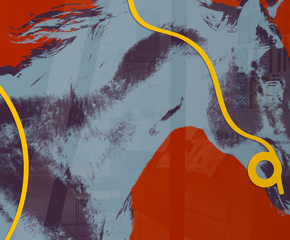 Thumbnail: Gray horse muzzle