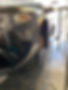 received_327003374985662.jpeg