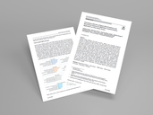 Participatory Selection of Nature-Based Solutions and Bioeconomy Solutions for WEFE Nexus Implementation: Applications on Tinos Island, Greece