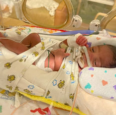 Holiday Project Family 75