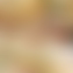 Holiday Project Family 75