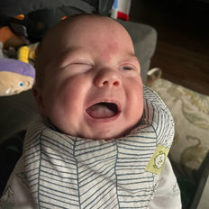 Destination Home family 379