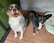 Elen y Lola México-Brasil 1.jpeg
