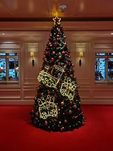 WhatsApp Image 2025-04-14 at 21.35.50.jpeg