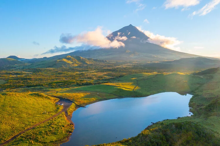 pico-750x499.webp