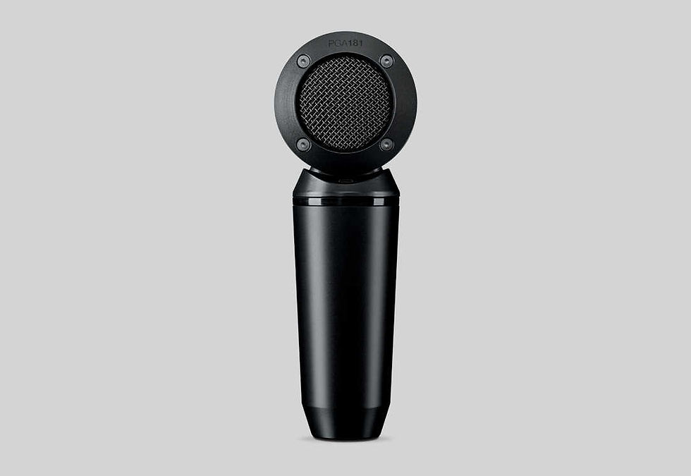 SHURE PGA-181