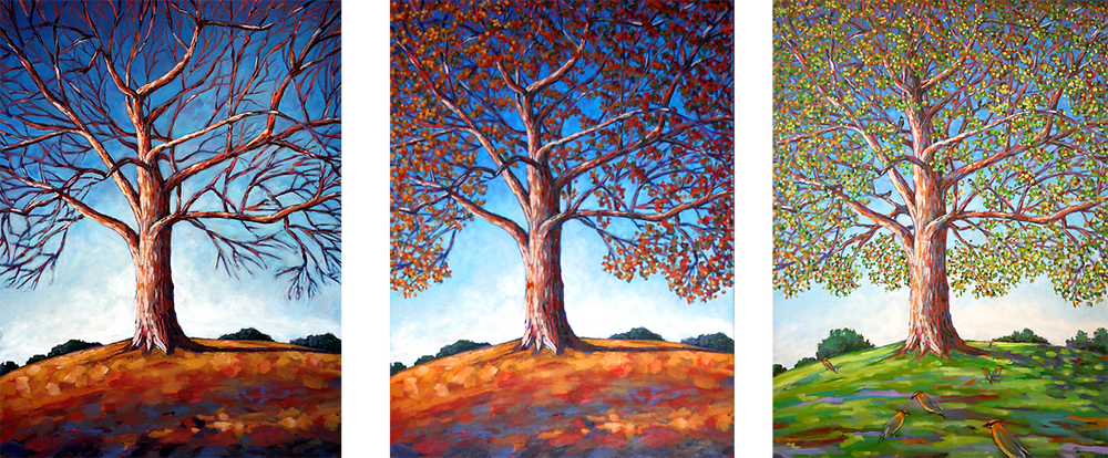 Same tree, 3 seasons