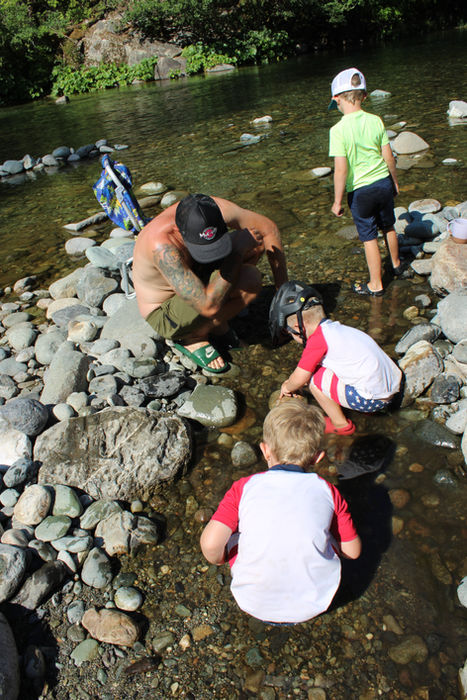 shallow water to explore for the kids with lots of rocks, tadpoles, frogs, fish , and geese.
