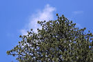 IMG_8346.jpeg
