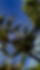 Jardin 1_edited.jpg