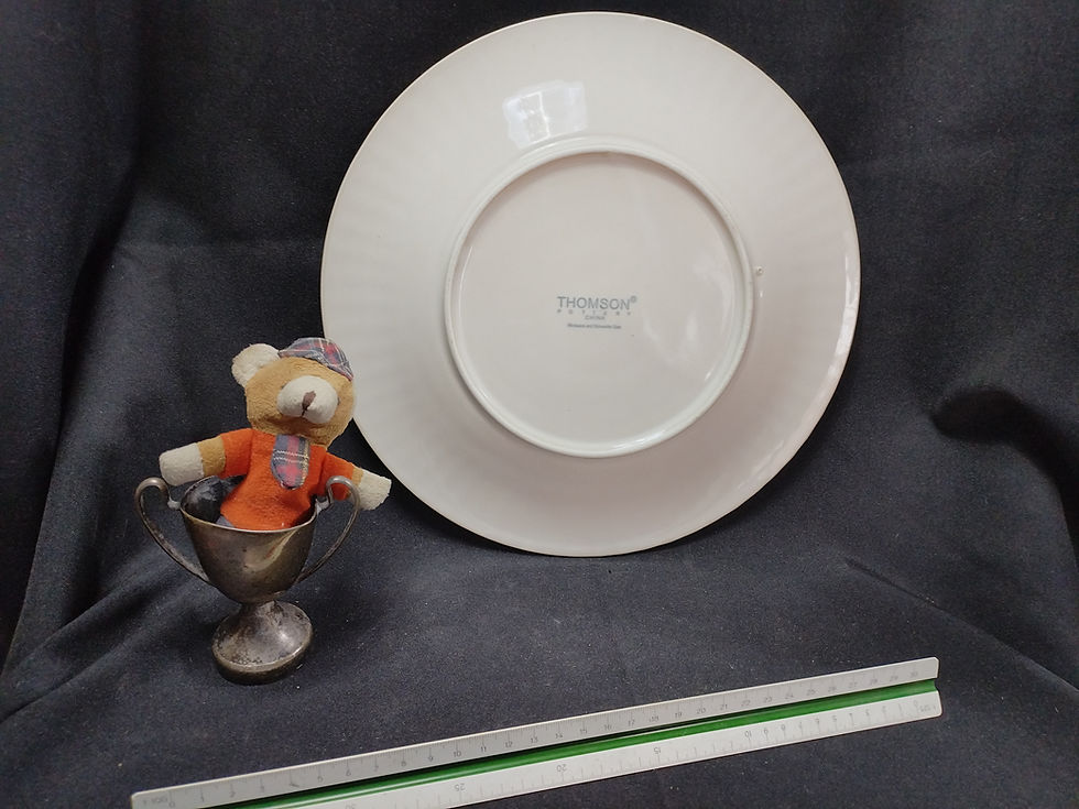 Crockery - Embossed plate