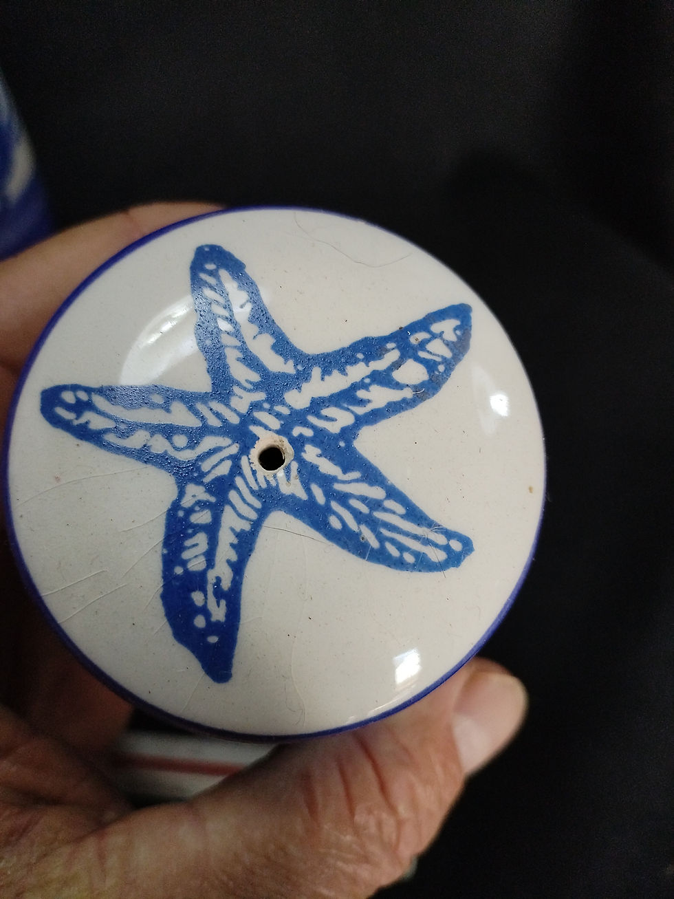 Thumbnail: Crockery - Sea Shakers