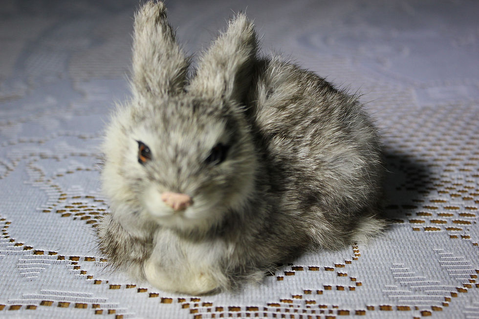 Thumbnail: Realistic Rabbit Figure