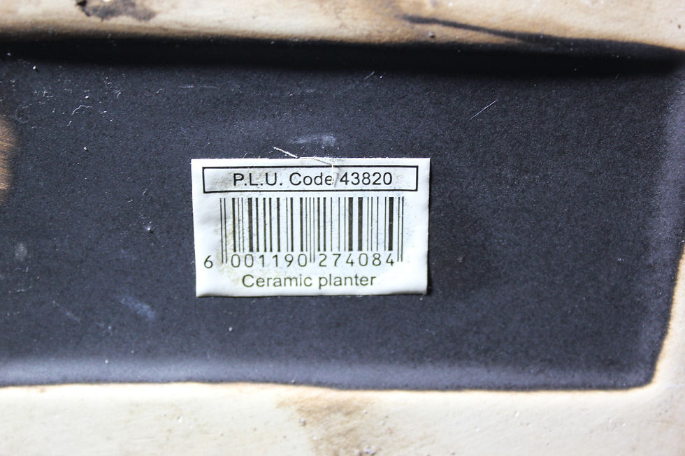 Thumbnail: Matching Planters (2 units) Ribbed Design