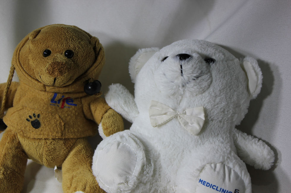Thumbnail: Bears Washed and Cleaned