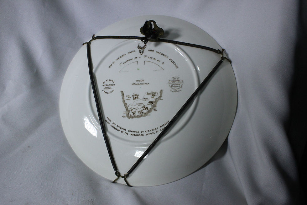 Thumbnail: (25) South Afrcian Commerative Plate