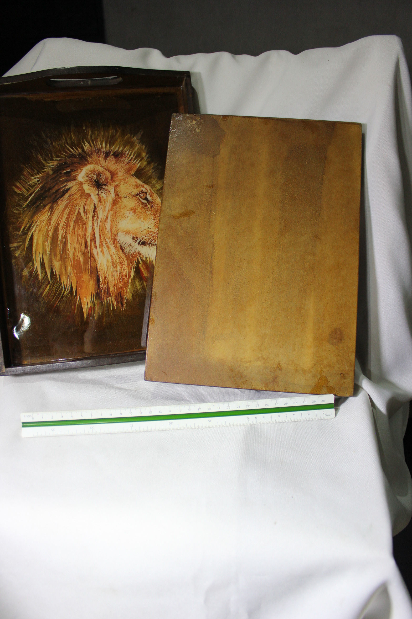 Trays with clear resin on print for both