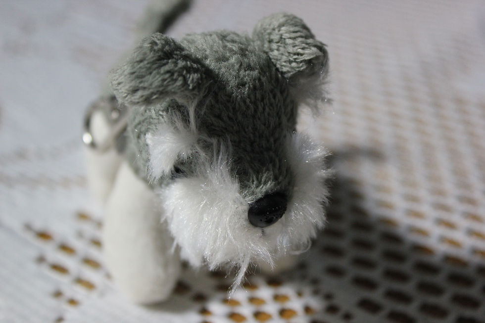 Thumbnail: Schnauser Fluffy Key Ring as New Condition
