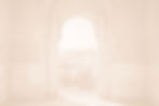 Decorative Archway View_edited_edited.jpg