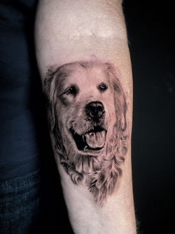 Snapseed 2 - Jordan Saran