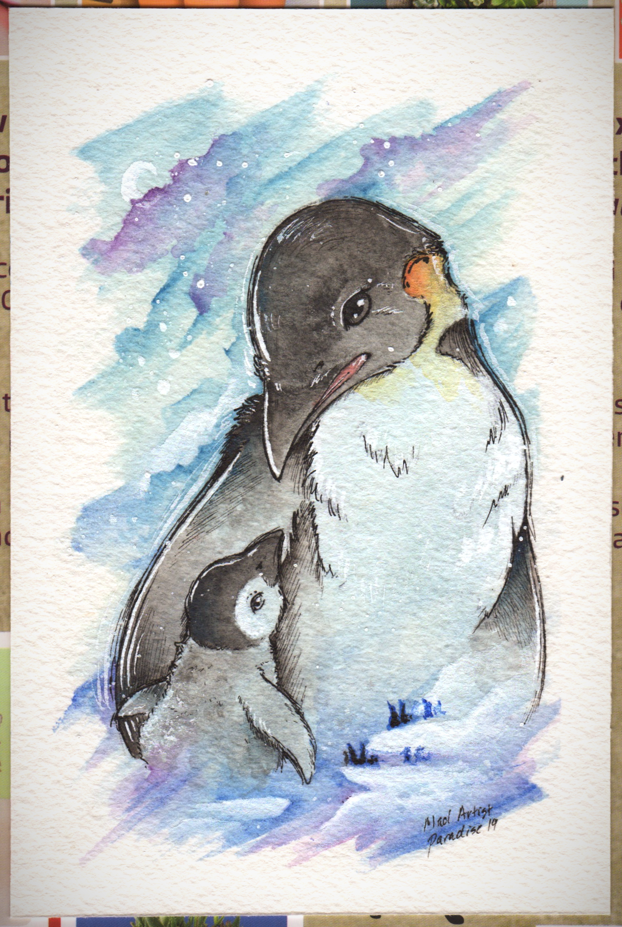 Animals: Emperor Penguins