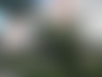 Mivesa Garden Residences One Bedroom Unit