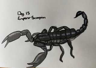 Day 15