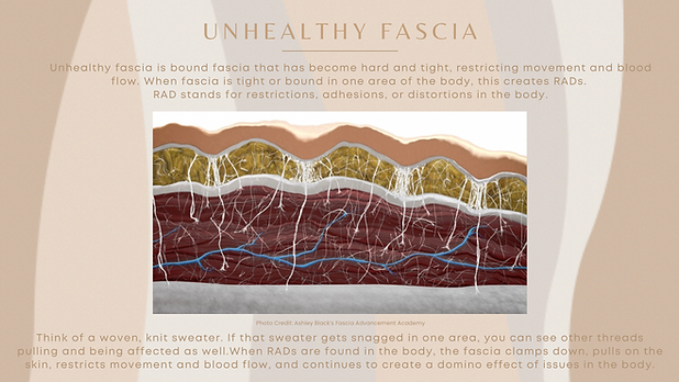 6CCA0499-8EC5-4853-8512-33BEE8CBDBF8 2.PNG