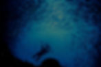 Underwater Photographer in School of Fish_edited_edited_edited.jpg