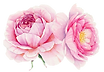 Flowers.png