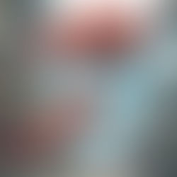 Inteligencia artificial científica - IA de Sakana AI