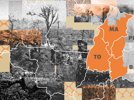 Legalizing the illegal