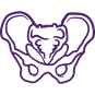 pelvis.png