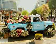 DSC01316.jpg
