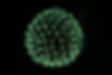 2AC7DA59-63F3-4A53-82AE-31A85F50CB00.jpeg