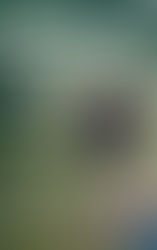 (IO)Krótki kurs Focusingu na poziomie zaawansowanym: Focusing & Model Procesu