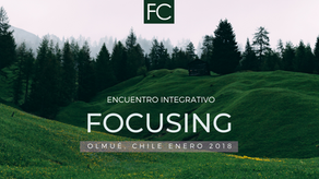 ENCUENTRO INTEGRATIVO DE FOCUSING OLMUÉ, CHILE ENERO 2018