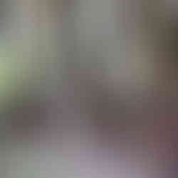 Die Hitze war manchmal anstrengend