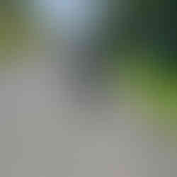 Oft zu Fuss unterwegs