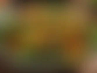 A beautifully arranged roasted vegetable bowl showcasing diverse textures and colors