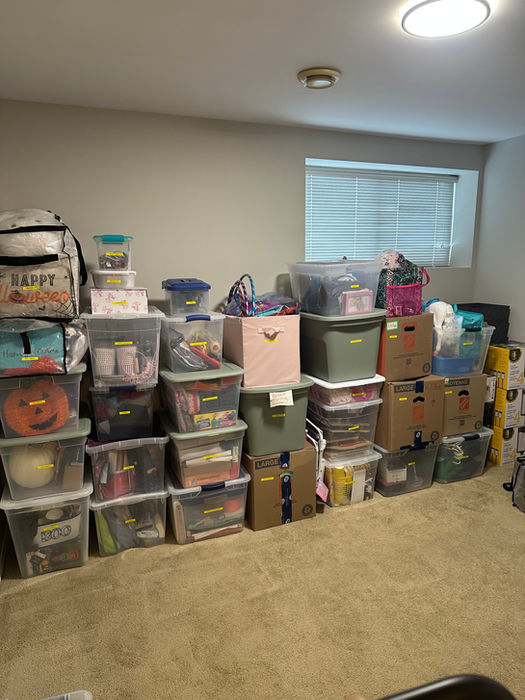 basement storage organization after winnipeg