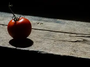 Produttività con il Pomodoro: Un semplice trucco per lavorare in profondità